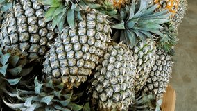 Close-up of ripe and unripe pineapples stacked together. Tropical fruit with spiky green leaves and textured skin, displayed in a traditional market setting - Powered by Shutterstock - Get 15% off with code: PIKWIZARD15