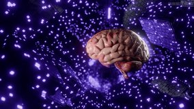 Human brain floating in digital cyber space with glowing purple cubes and data particles. 3D render illustration. Artificial intelligence and neural network concept. Design for poster - Powered by Shutterstock - Get 15% off with code: PIKWIZARD15