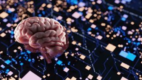 Human brain model floating over glowing blue digital circuit background. 3D render of brain and illuminated tech network. Artificial intelligence and neural data flow concept. - Powered by Shutterstock - Get 15% off with code: PIKWIZARD15