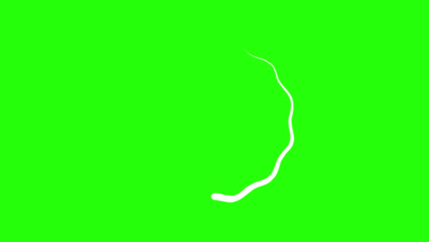 4K Abstract Geometric Circle Motion Clip – Cartoon, Greenback, 30fps