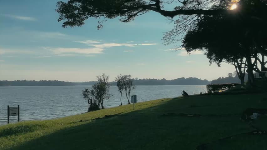 Silhouette of a visitor sitting on the grass at the edge of Upper Seletar Reservoir while enjoying the golden hour moment. Seletar Singapore.