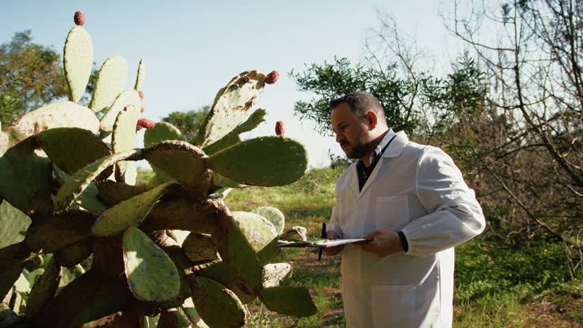 Natural Landscape For A Herborist At Work