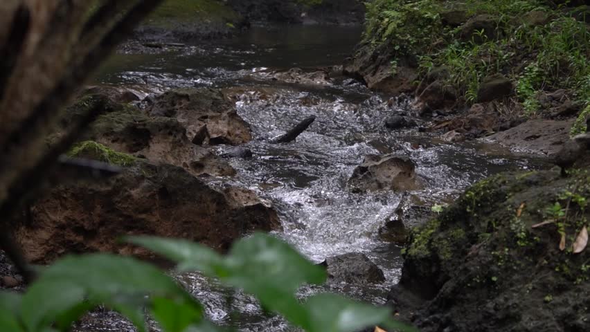 Beautiful mountain river with large stones in moss