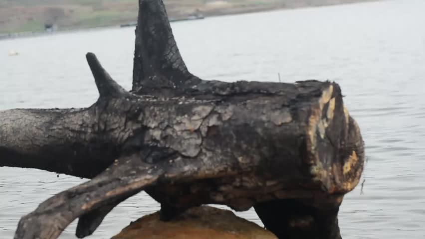 Aerial view of mountains, sea, rivers in Indonesia