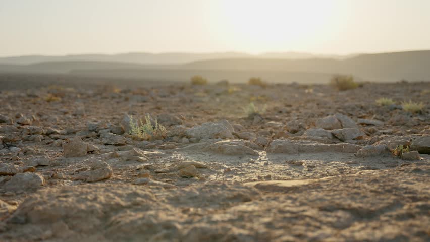 Hot desert terrain with tumbleweed rolling across frame in outdoor natural view. Dry day in barren emptiness wind blowing dead bush or thorn twig in sunset or sunrise light in vast open arid area