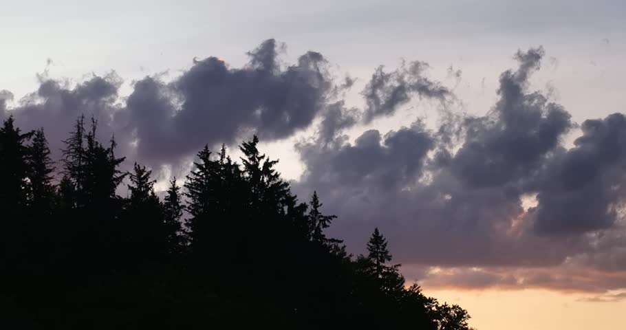 Scenic forest silhouette at sunset with glowing sun on the horizon, warm orange sky, and tall pine trees. A peaceful, tranquil nature landscape perfect for themes of calm, serenity, and beauty