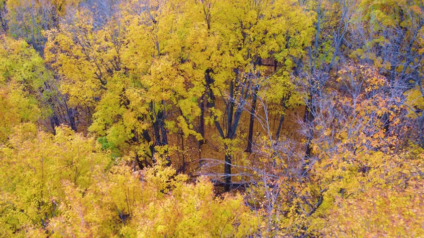 Oka National Park in Quebec, Canada during Autumn with leafs changing colors. Aerial shot during a cloudy day
