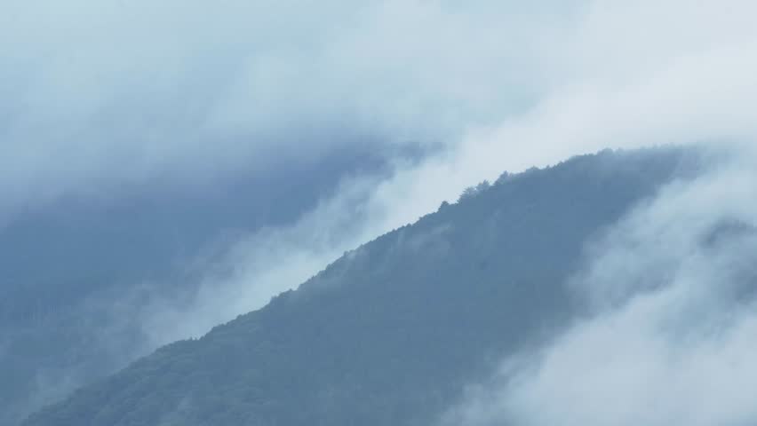 Blue Mountain Ridges Shrouded in Mist with a Flying Bird