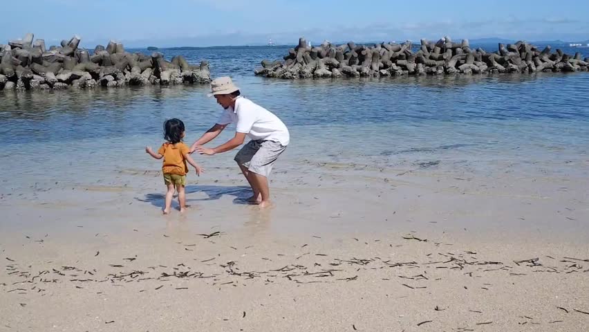 Shutterstock Video