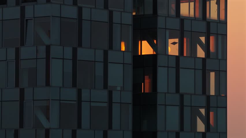 Shutterstock Video
