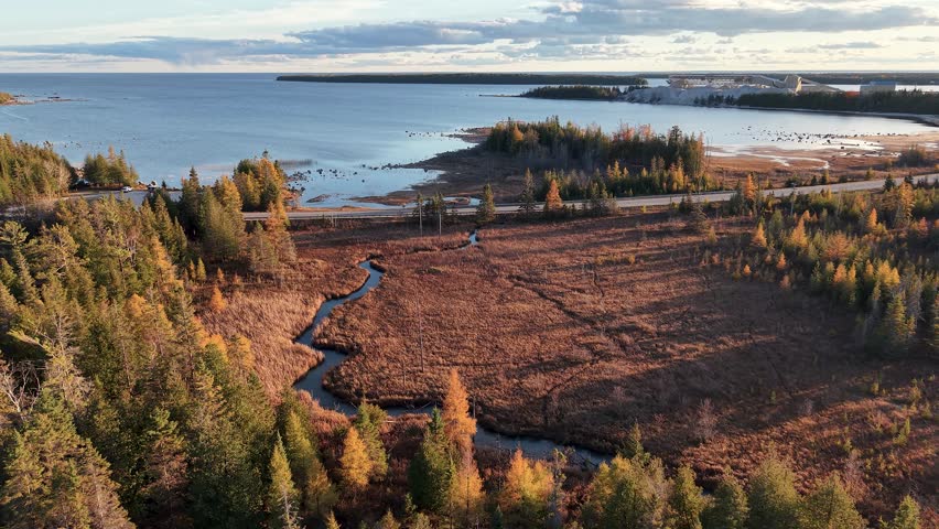 Aerial view of forested shoreline and wetlands at golden hour in autumn, with soft light casting long shadows