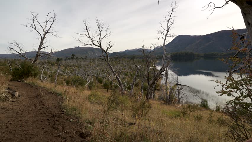 Man with backpack exploring natural trail by tranquil waters of lake and forested hills. Huella Andina trail, Lanin National Park, Neuquen, Argentina
