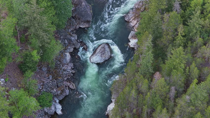 Powerful Rapids Flowing Through Lush Green Forest in British Columbia, Canada, Aerial View