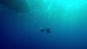 Scuba divers swim in the blue depths towards a diving boat with a sunny day in backlight, Slow motion of divers returning underwater to a safari boat - Powered by Shutterstock - Get 15% off with code: PIKWIZARD15