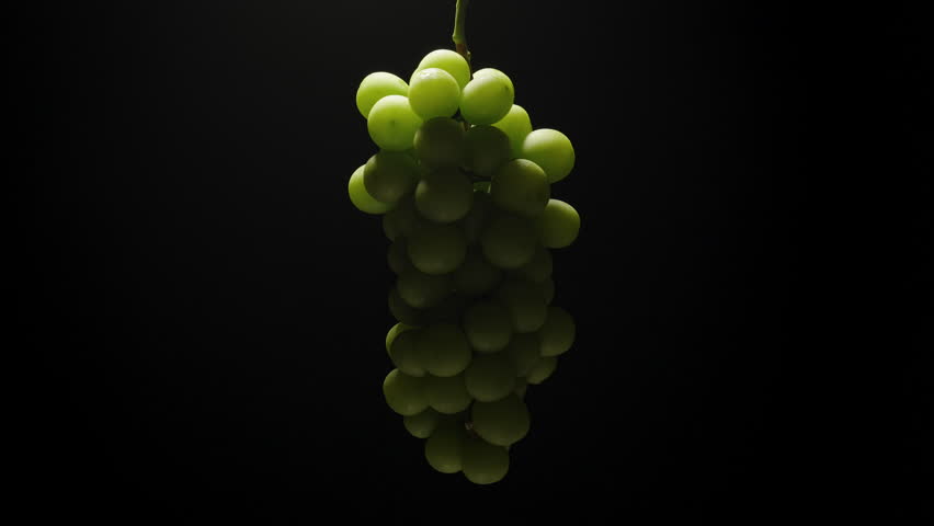 Looping Rotation of Japanese Green Grape Cluster with Dramatic Low Key Lighting and Deep Shadows from Front Angle on Black Background, Gourmet Fruit Concept.