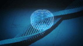 Luminescent helix entering left initiating brain rotating, revealing patterns in science display. Futuristic, technological, innovation, digital, abstract, scientific, neurotechnology - Powered by Shutterstock - Get 15% off with code: PIKWIZARD15