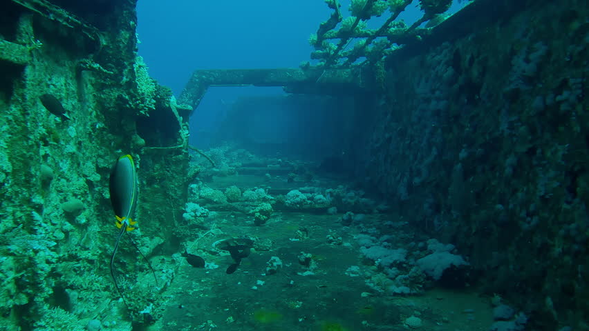 Corridor on the upper deck overgrown with corals on Salem Express ferry, Wreckship in Red Sea, Slow motion, Forward movement, Details of sunken ship in the depth sea