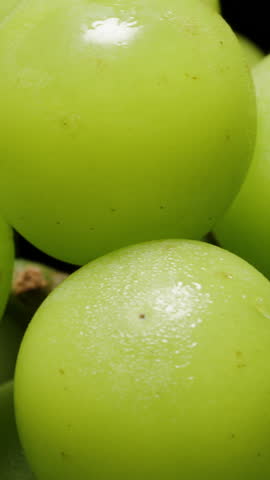 Extreme Macro Shot of Rotating Japanese Green Grapes Showing Surface Detail and Stem Texture with Smooth Motion and Bright Lighting, Fresh Produce Concept.