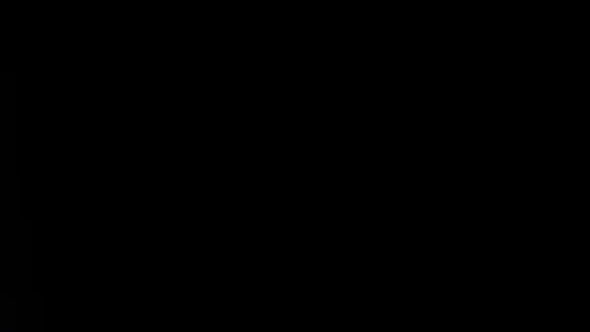 Shutterstock Video