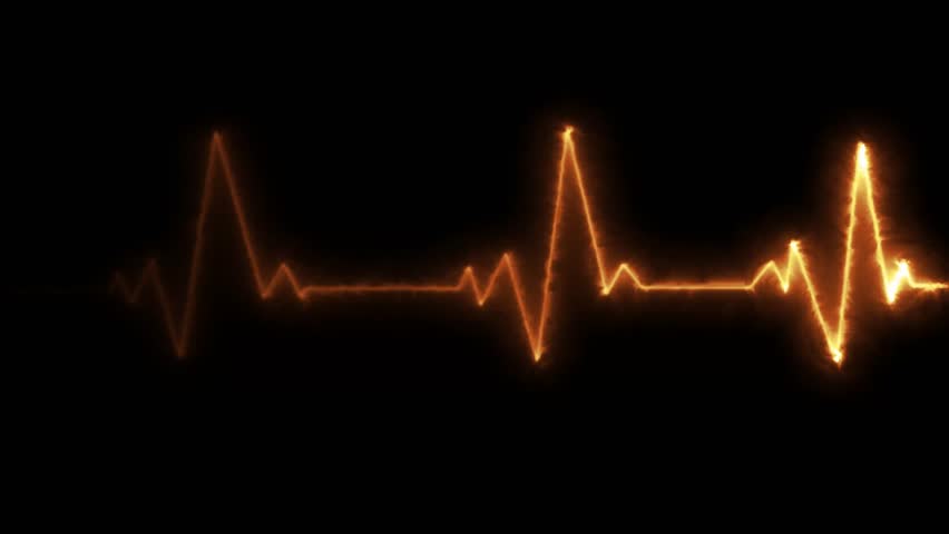 Shutterstock Video