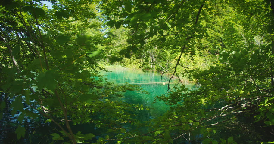 Lush greenery and turquoise water view in Plitvice Lakes National Park in summer