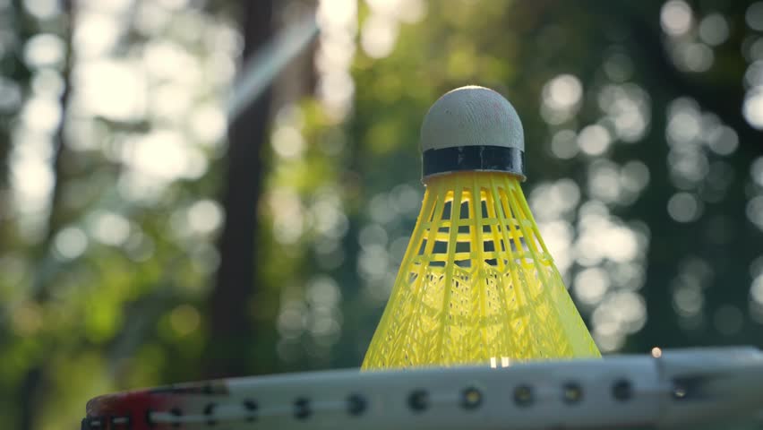 Wooden badminton rackets and shuttlecocks soft focus concept. Copy space Summer outdoor activities. Staycation leisure