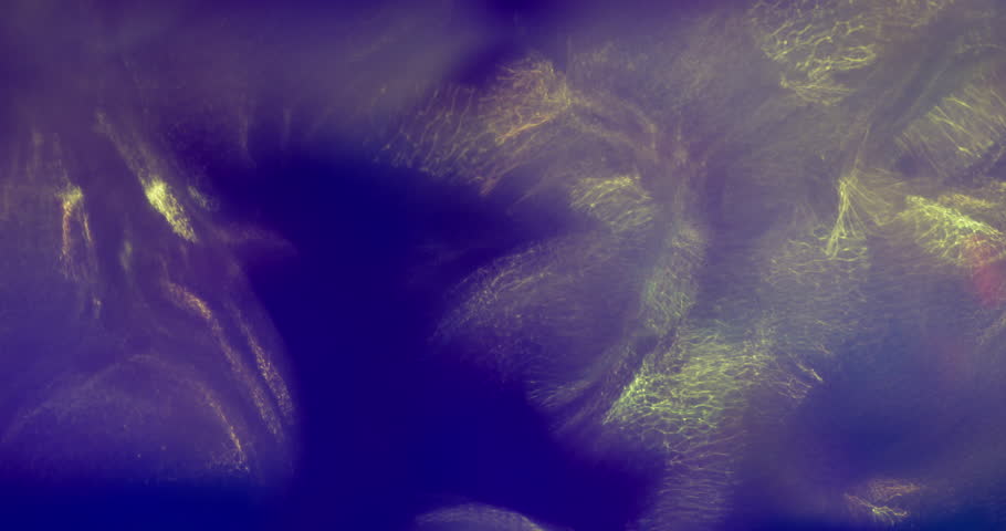 Defocused luminosity. Disco leak blur. Hologram colorful flicker prism flash. Shimmering abstract background shine beam purple background.