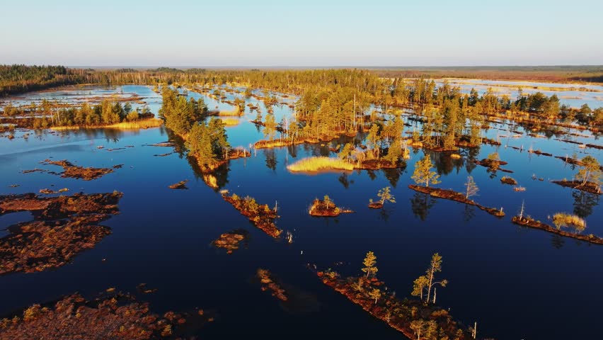 Drone moves forward above Kemeri marshes and water islands, golden morning glow