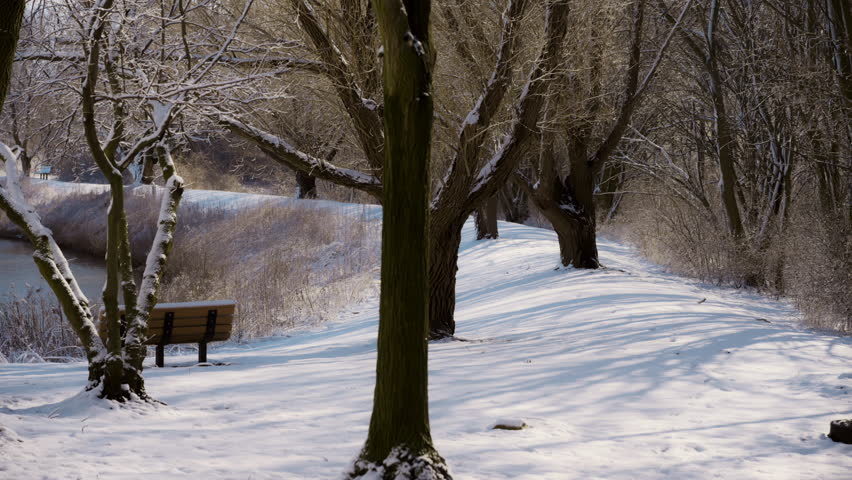 Sunny frosty snowy park with a lonely bench near frozen lake on clear bright weather
