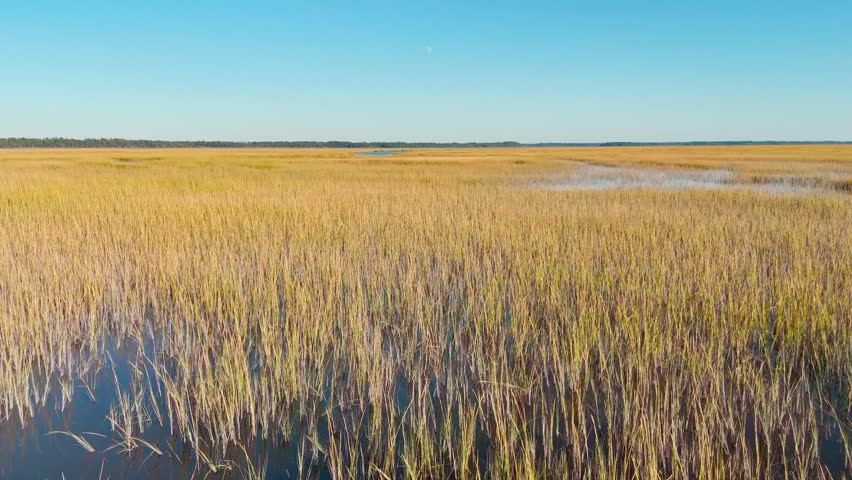 Drone flying over marsh coastal land