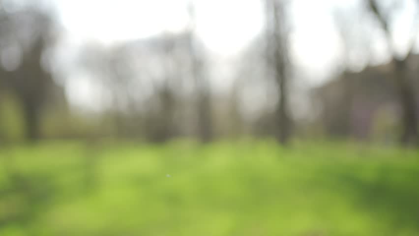 A serene view features lush grass and leafless trees bathed in bright daylight. The entire scene is out of focus, creating a soft and diffused look that emphasizes tranquility.