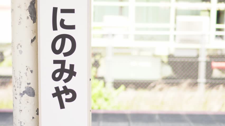 Tokaido Line Train Arriving at Ninomiya Station