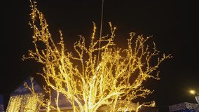 A beautifully decorated tree, adorned with warm fairy lights, truly stands out against the dark night sky background - Powered by Shutterstock - Get 15% off with code: PIKWIZARD15