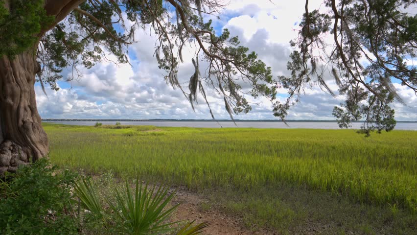 Majestic view of lush green marshland under cloudy sky near coastal waters during daylight