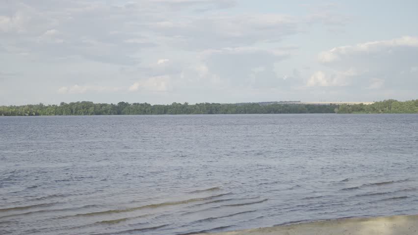A serene landscape showcases a large body of water lapping against a sandy beach, complemented by a soft cloud cover and a line of trees on the horizon.