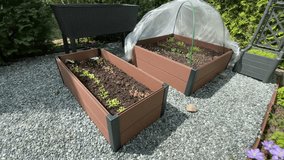 Modern square greenhouse, raised bed on sunny day in spring in backyard. Seedlings of vegetables and herbs. Design for backyard of house. - Powered by Shutterstock - Get 15% off with code: PIKWIZARD15