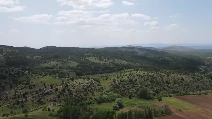 Aerial View of a Lush Green Forest in the Mountains of Turkey
