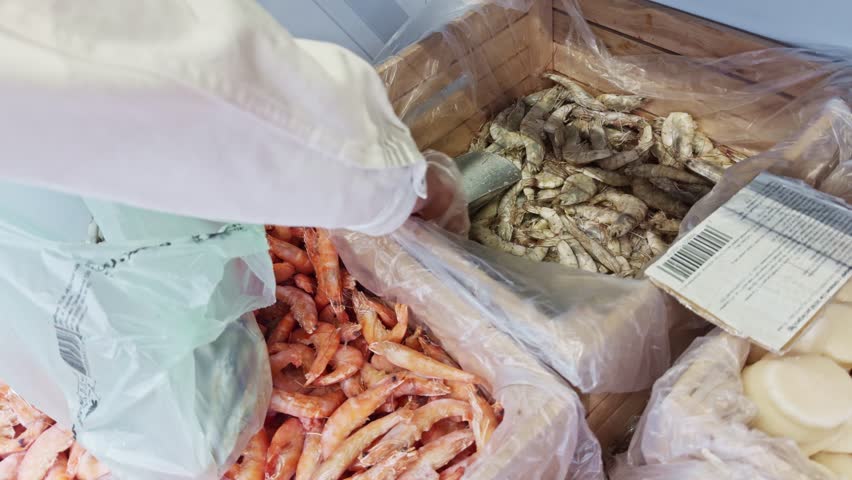  person selects frozen shrimp at seafood market. shrimp and scallops are stored in plastic-lined wooden bins. Market shrimps seafood. A metal scoop. fish market. raw prawns. Seafood products 