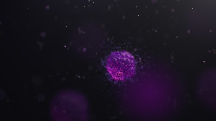 Purple macrophage immune cell secrets numerous particles