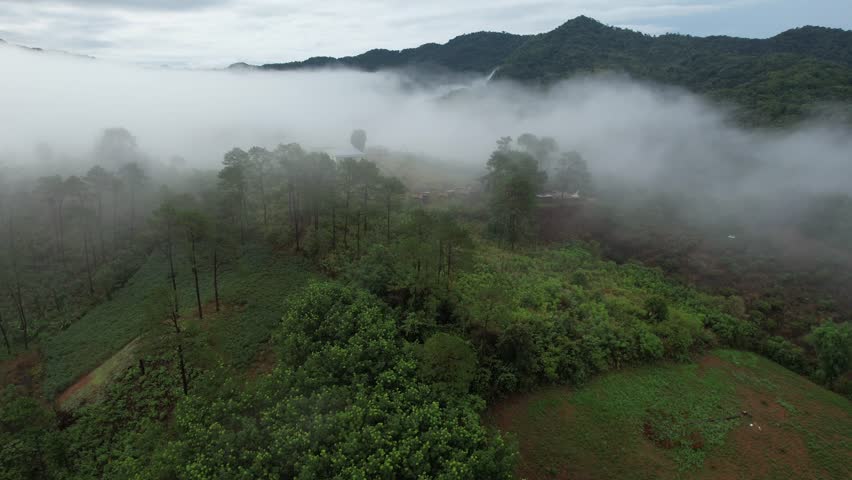 Aerial view of the fog flowing on hills and resort building