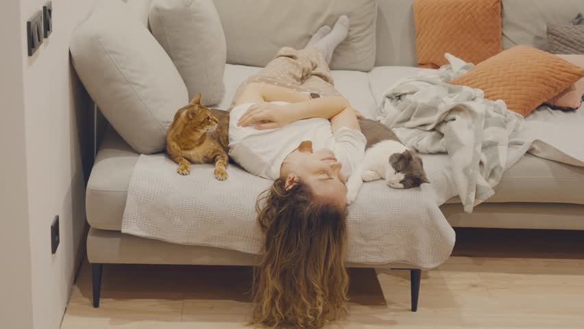 happy woman lying on sofa hugging two cute cats, joyfull stroking bengal cat and non-pedigree fluffy cat. Joyful family person friends with animals pets concept love care. girl casual clothes pajamas.