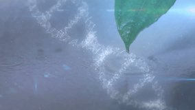 Droplet falling from leaf tip causing ripple warping and reforming DNA helix showing dynamics. Bioluminescence, organic, serenity, scientific, futuristic, naturalist, elegant - Powered by Shutterstock - Get 15% off with code: PIKWIZARD15