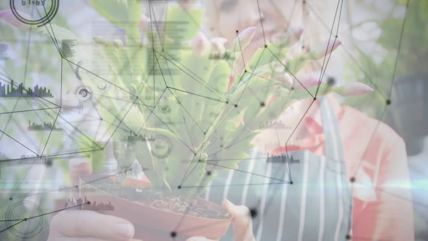 Female gardener touching succulent and rotating pot pulsing overlay showing growth in garden tech. Horticulture, digitalart, nature, wellness, sustainability, innovation, botanist