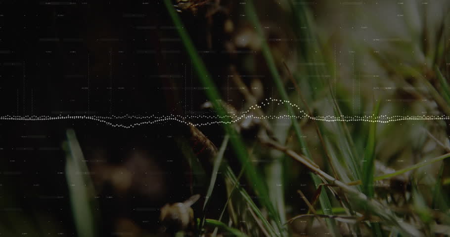Seed pods, grass opening under glitch-grid static-noise waveform rising, glow highlighting detail. Nature, abstract, digital art, audio visualization, minimalism, texture, contrast