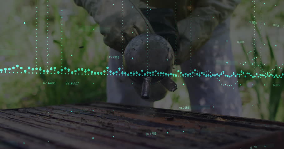 Shutterstock Video