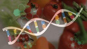 On opening DNA helix fading in over produce with code scrolling upward showing molecular analysis. Health, nutrition, biotechnology, science, innovation, research, organic - Powered by Shutterstock - Get 15% off with code: PIKWIZARD15