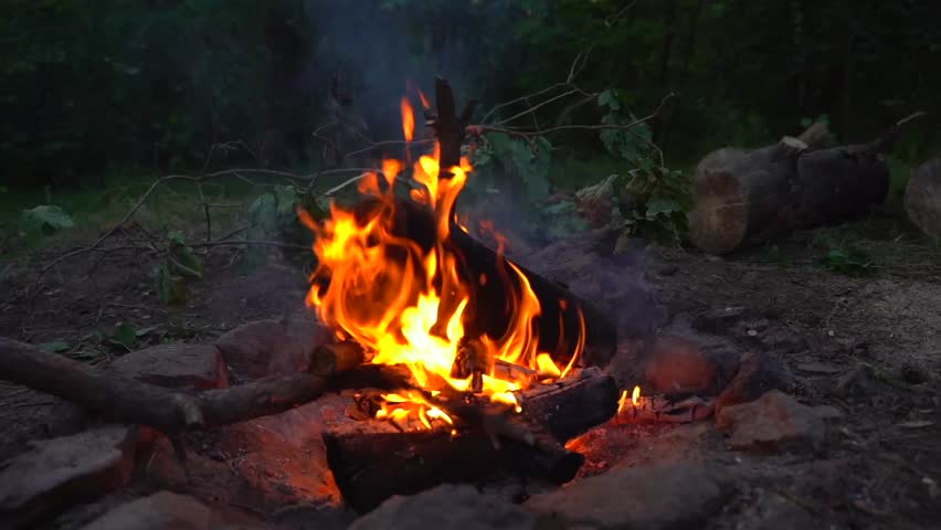 close-up slow motion shot burning wood for a bonfire outside in the forest.