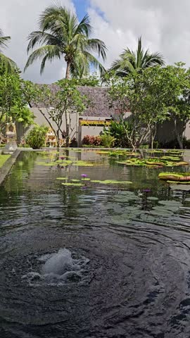 Pond with a fountain in the middle. The water is calm and clear. There are palm trees in the background