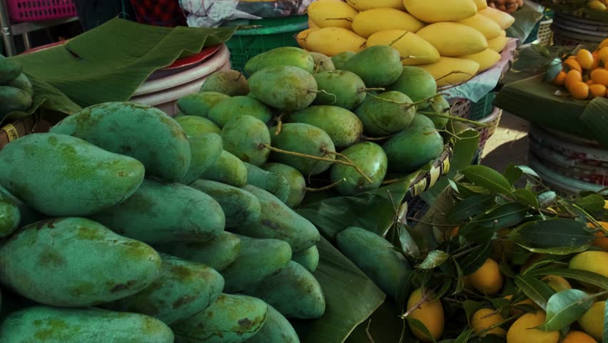 Tropical fruits including green and yellow mangoes, Marian plums and tamarinds displayed at market stall for sale in Bangkok, Thailand. Healthy diet food in Asia