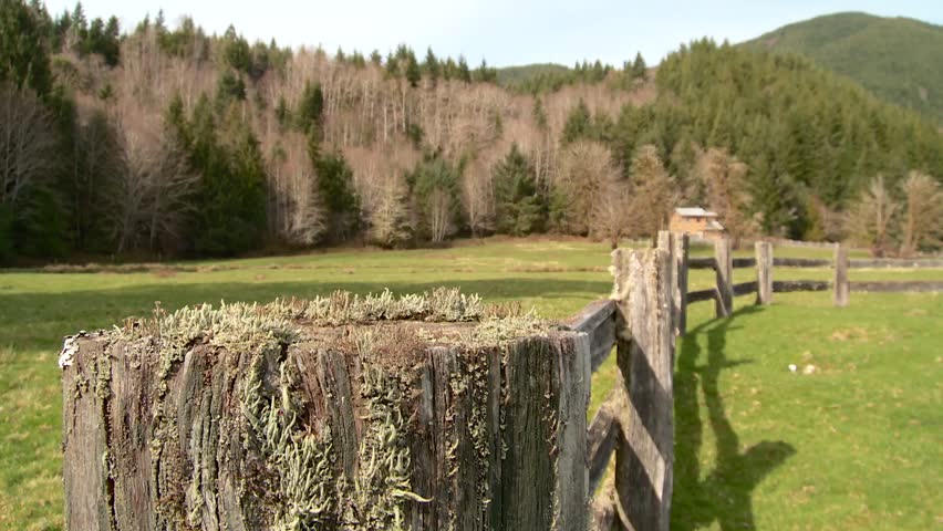 Cattle Farm and Fence With Mountain Background